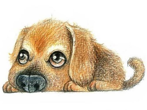 ˵
